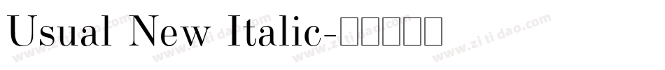 Usual New Italic字体转换